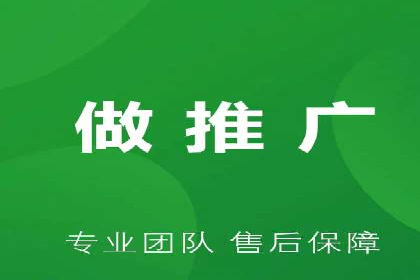 案例分析：高效信息流广告投放策略